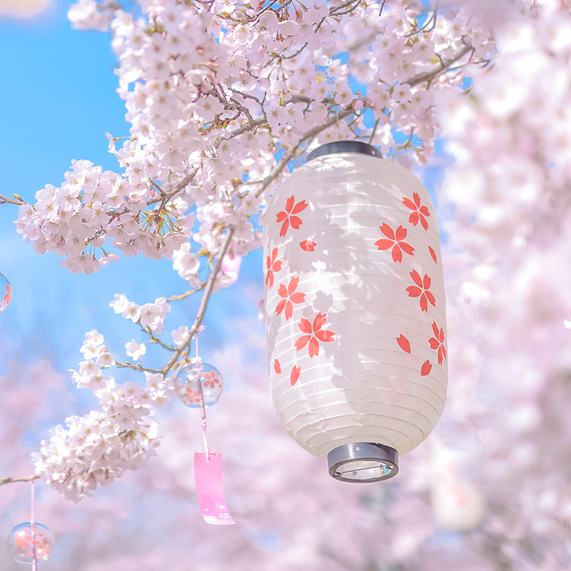 Lanterna Giapponese Maneki Nek - Restaurant Lighting Decoration recensione e prezzo