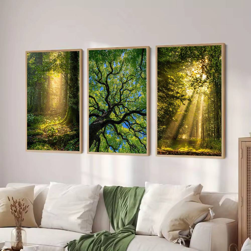 Poster Naturale del Bosco Sunb - Wall Decor Lighting Tree recensione e prezzo