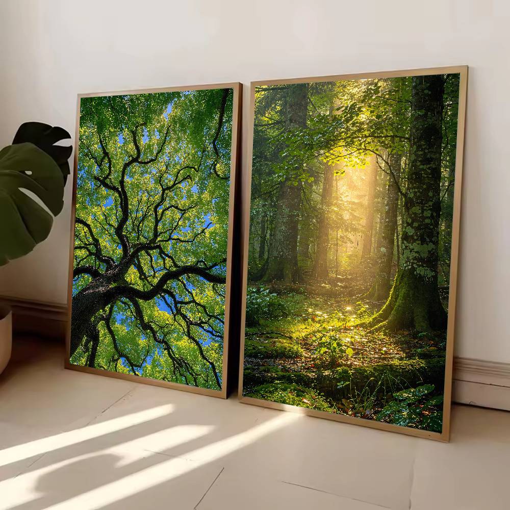 Poster Naturale del Bosco Sunb - Wall Decor Lighting Tree recensione e prezzo